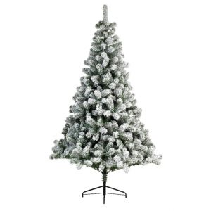 buy christmas trees uk