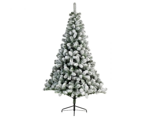 buy christmas trees uk