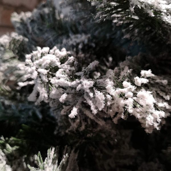 christmas tree online