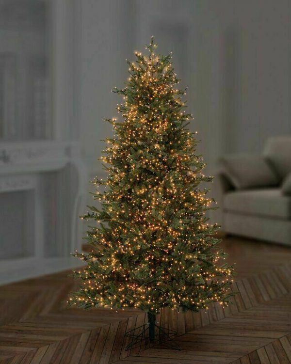 best christmas tree lights